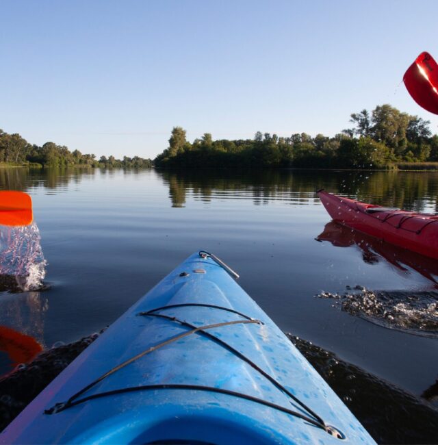 Projekt bez nazwy (40)